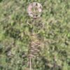 Antena do doniczki – cytryn