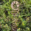 Antena do doniczki – cytryn